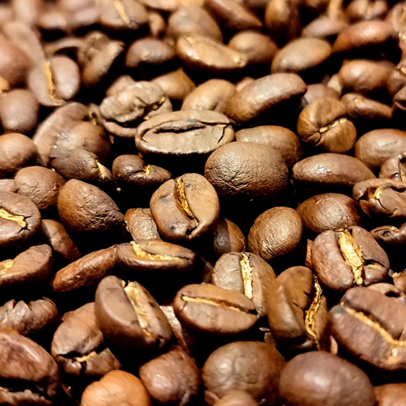 Bolivie Illamapu Bio - Café d'Amérique du Sud